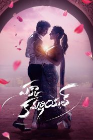 Pakka Commercial (2022) Hindi JHS – WEB-DL H264 AAC 1080p 720p 480p Download & Watch FREE