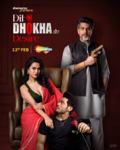 Dil Dhokha Aur Desire (2026) S01 Hindi SM WEB-DL H264 AAC 1080p 720p 480p ESub
