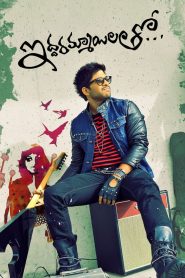 Dangerous Khiladi 2 – Iddarammayilatho (2013) Uncut Dual Audio [Hindi ORG-Telugu] BluRay- WEB-DL H264 AAC 1080p 720p 480p Download & Watch FREE